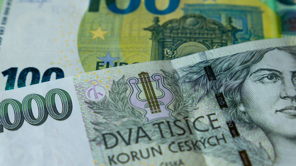 Čechům se nechce utrácet. Míra úspor bude klesat jen pomalu, říká ekonom